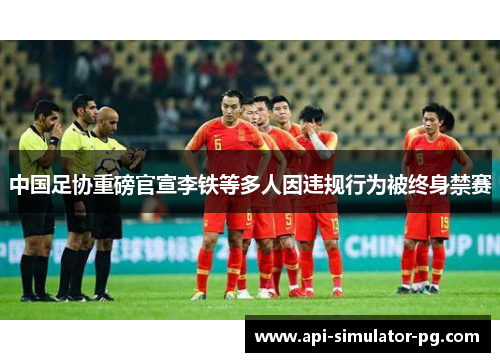 中国足协重磅官宣李铁等多人因违规行为被终身禁赛